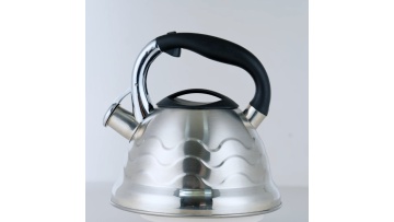 Stainless steel satin-finished kettle FH-245