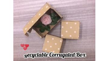 Paper-Box-0056