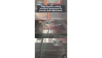Video 16