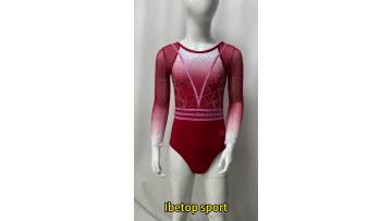 long sleeve gymnastic leotards
