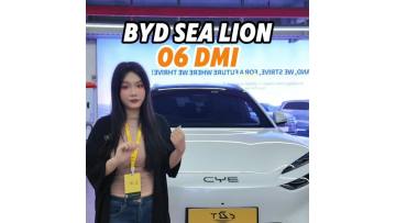 BYD Sealion 06 DM 2025 DM-i 132KM