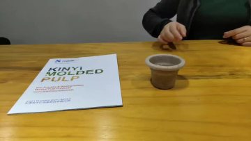 Garden Biodegradable Nursery Seeding Starter Tray Plant Cultivation Cup Peat Germination Pot Seedling Trays1