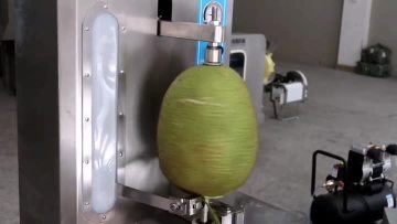 Automatic Fruit and Vegetable Peeling Machine
