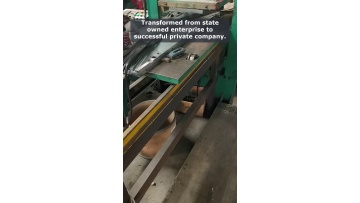Video 4