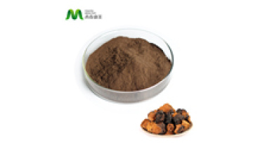 OEM Salvaje Siberiano Chaga Extracto De Chaga Hongo Wildcrafted Chaga Mushroom Mycelium Extract Powder For Nutritional1