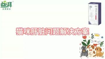 Pet Gallbladder Supplements car