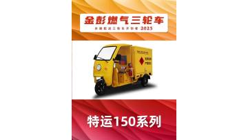 Customizable 3-Wheel Vehicles Tailored for Local Market Needs