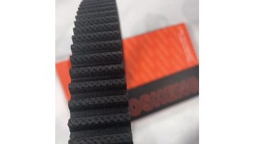 Timing belt