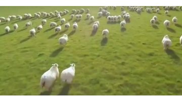 banner video