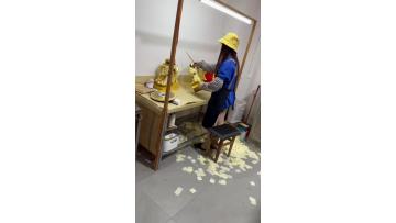 gongyipinshipin9