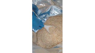 garlic minced 8-16 mesh brazil quality