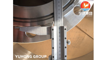 ASTM A182 F310 WN FLANGE-03