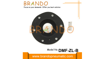 DMF-ZL-B Diaphragm