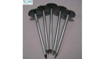 roofing nails