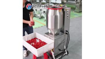 TS-GZ50L Industrial and Commercial Tomato Crushing Machine