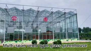 Commercial Intelligent custom size tropical multi-span venlo type hydroponics system glass greenhouse for flower1