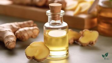 Organic natural oils Ginger oil 
