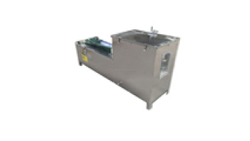 New kill fish and scale removing machine in fish processing line1