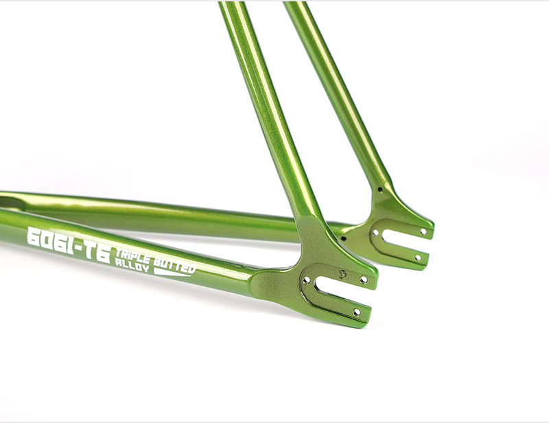 Alloy Fixie Frame