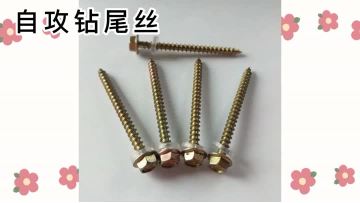HEX Self tapping screw1