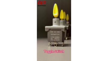 Toggle Switch of heavy duty