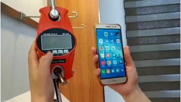 SF-918 digital small crane scale 300kg electronic mini portable crane hanging weigh scale1