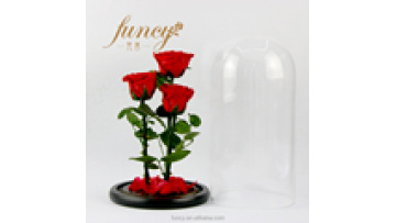 Wholesale Forever Roses: 3 Pcs Glass Dome Preserved Flowers from Kunming City1