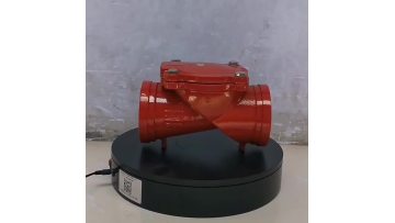 rubber flap check valve