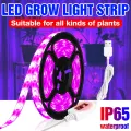 5V LED Grow Light 1M-3M Hand Sweep Sensor LED Flexible Plant Tape Waterproof USB Phyto Lamps For Grow Box Cultivate Plants Seed