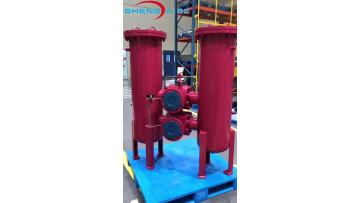 Inline Filter SDRFLD WHC 4020 CAU 25 D 1.X-KB