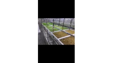 Agricultural Smart farm Shipping 40ft Growing Vertical Hydroponics Fodder System Container Farm1