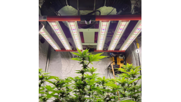 320w grow light led