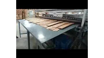 24M 1Deck Veneer Dryer in Brazil Site