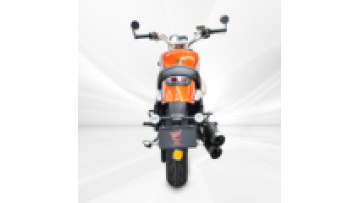 Wholesale High Speed Premium 250cc Gasoline Motorcycle Scooter double disc brake1