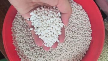 T-9338A Pure White Low Temperature Hot Melt Adhesive