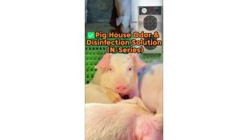No More Odor & Germs in Pig Houses – Smart Ozone Disinfection in Winter