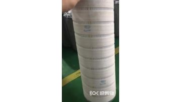 pall filter (1).mp4
