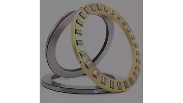 Thrust Roller Bearing (1)