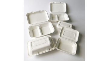 Bagasse clamshell boxes