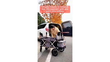 Video 46