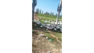 our own poultry farm