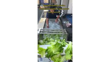 Vegetable washing machine Fruit Washing Machine