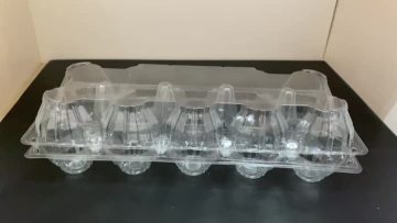 Plastic Egg Clamshell