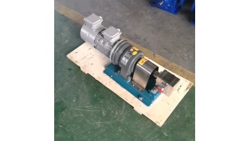 Stainless steel small flow metering pump with high efficiency, corrosion resistance and wear resistance1