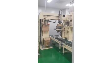 Full automatic valve bag filling machine