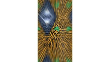 Animal Print Velvet Fabric