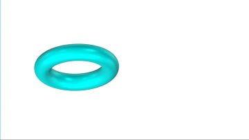 Silicone O-ring Seal in Its Original Color