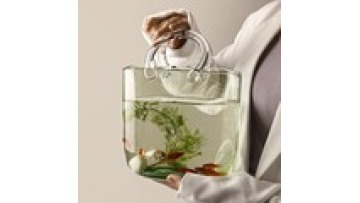 Nordic Style Clear Glass Vase for Hydroponic Flowers - Creative Bag1