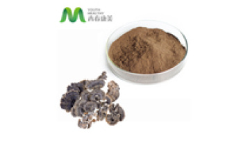 Organic Coriolus Versicolor Mushroom Extract Lyphar Powder1