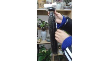 100 Virgin Human Hair Peruvian Kinky Straight Hair,Peruvian Yaki Human Hair Bundles,Peruvian Hair1